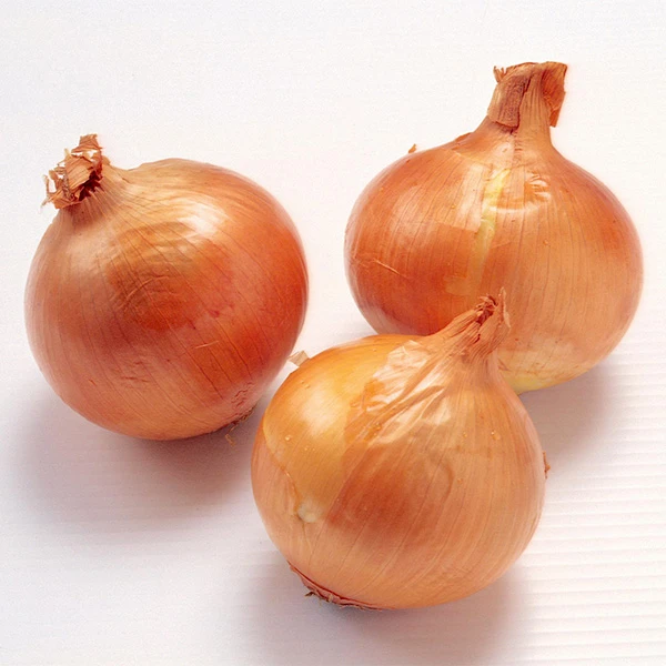 Świeża Ekologiczna Cebula Żółta 20kg Opakowanie
